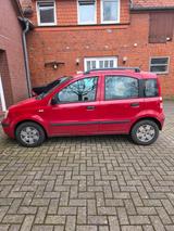 Fiat Panda - Fiat Panda Gebrauchtwagen in Bremen