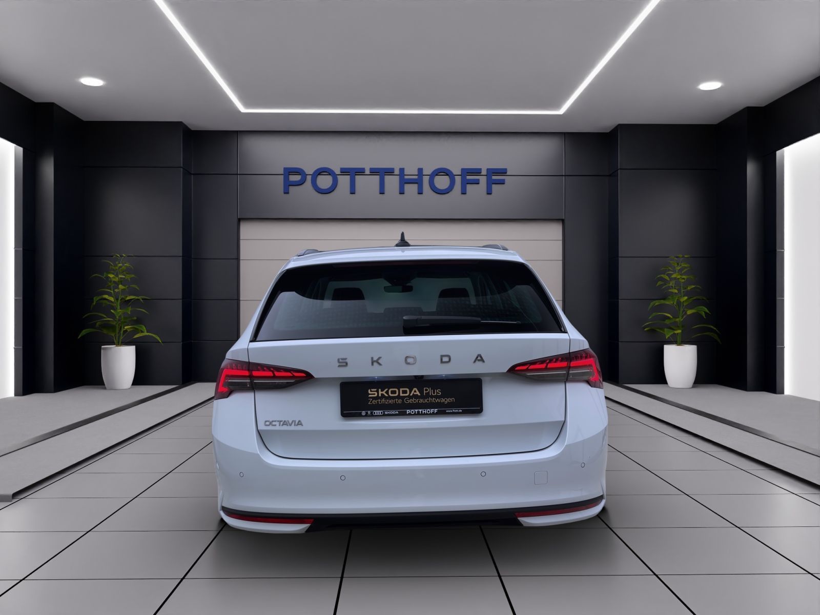 Skoda Octavia - Bild 4