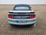 Ford Mustang 2.3 EcoBoost Auto - - Ford Mustang in Osnabrück