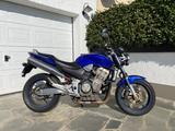 Honda Hornet SC 48 CB 900 F  - Angebote entsprechen deinen Suchkriterien