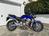 Honda Hornet SC 48 CB 900 F  - HONDA CB900F