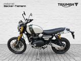 Triumph SCRAMBLER 1200 XE Zusatzscheinwerfer & Sturzbüge - Angebote