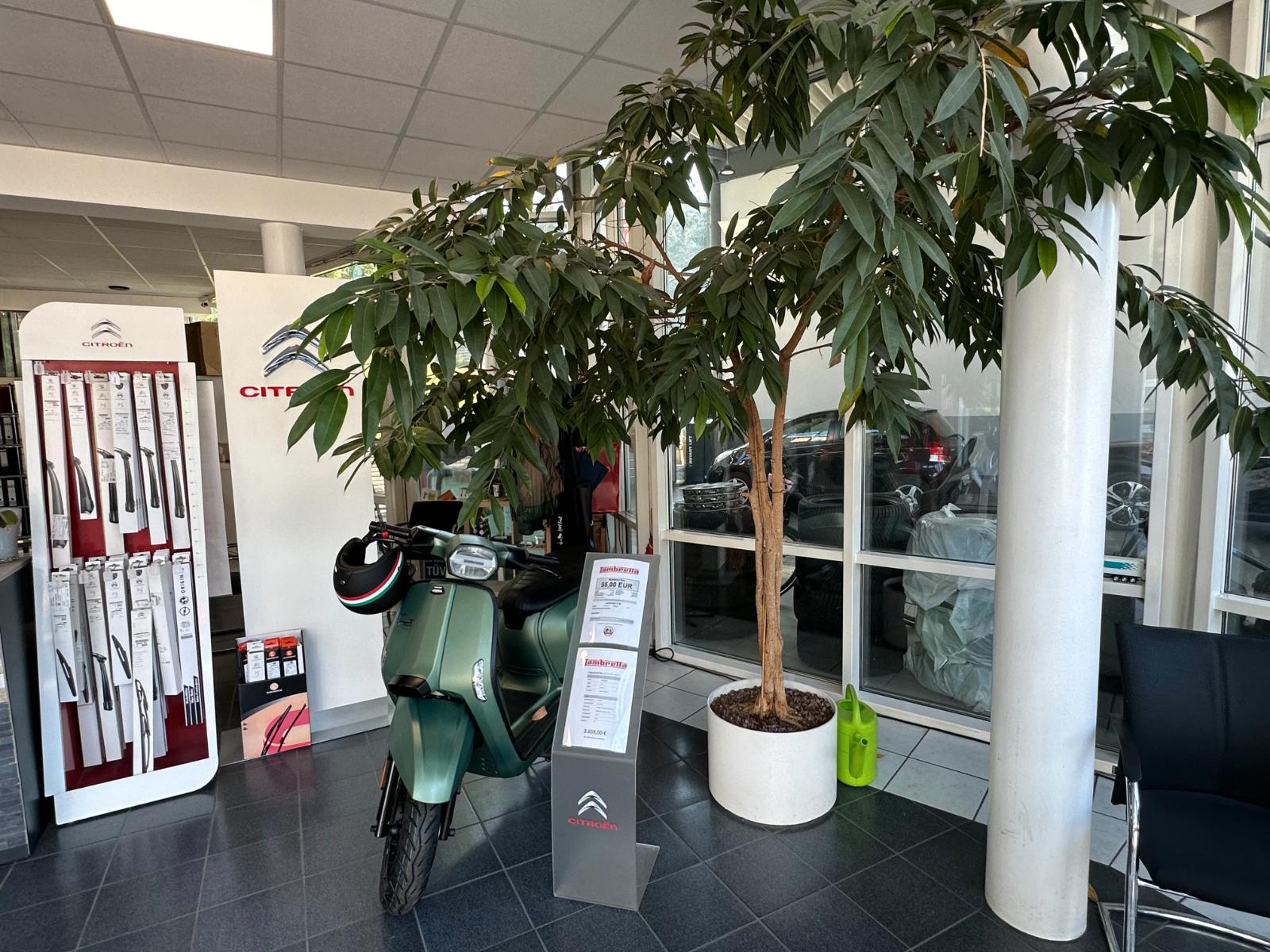 showroom-image-bottom