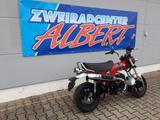 Honda DAX ST125  - HONDA DAX 125