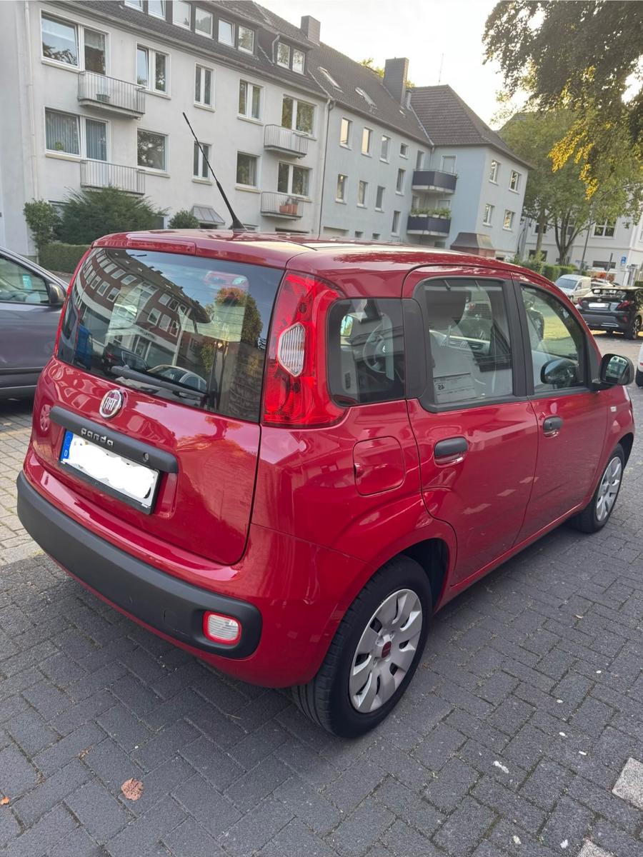 Fiat Panda - NUR 25.000km - Rentnerfahrzeug 2. Hand