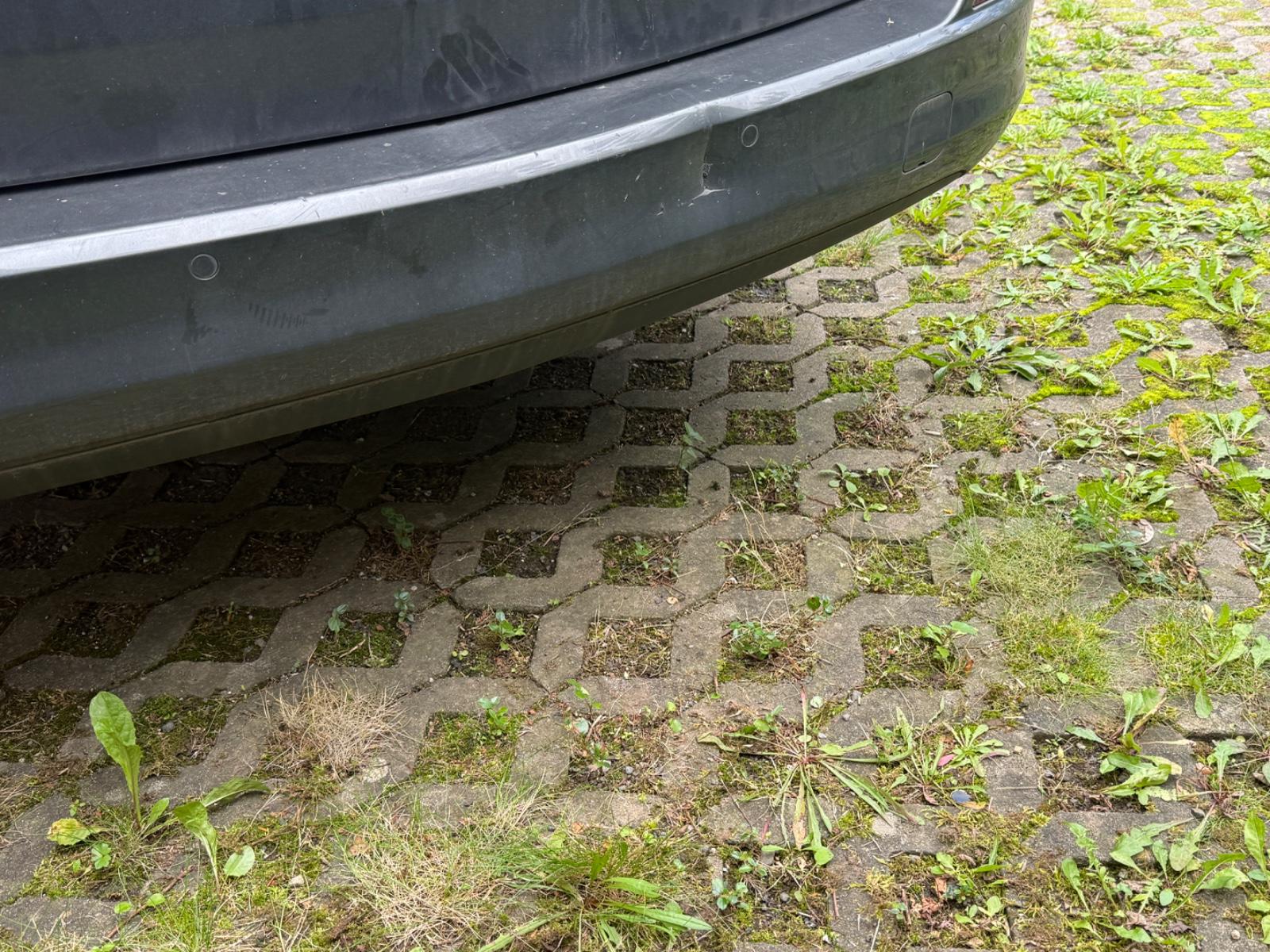 Opel Astra 2010 — photo 10