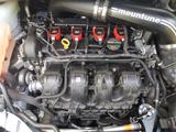 Ford Focus 2,3 EcoBoost RS Allrad 500PS 670Nm - Ford Focus: Weiß, RS