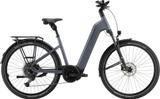 Pegasus Premio EVO SUV 10 S - Pegasus E-Bikes