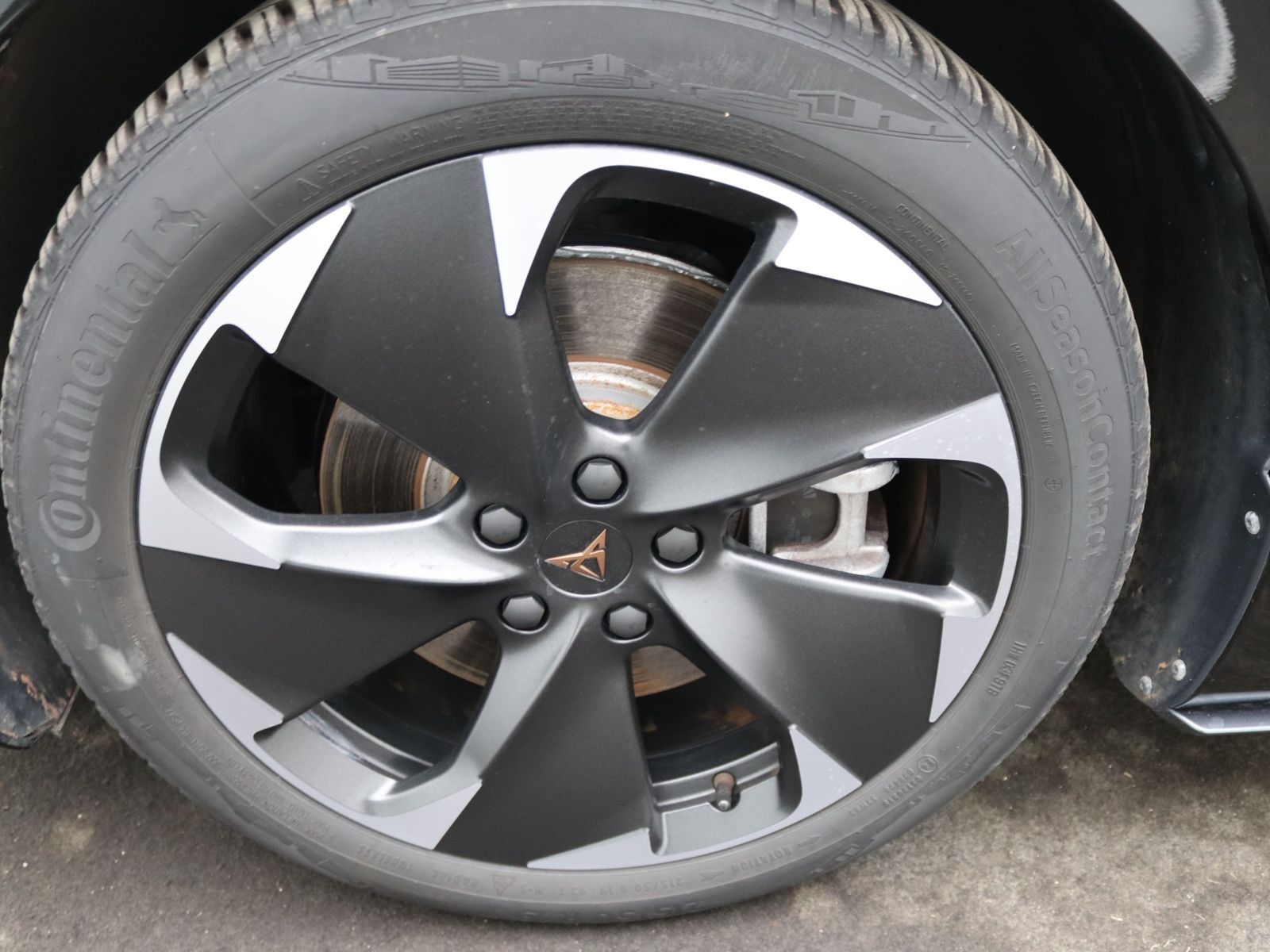 Cupra Born - Bild 18