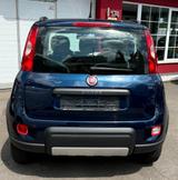 Fiat Panda Rock 4x4 Aluf./Klimaaut./Sitzheizung - Fiat Panda: 4.4