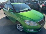 Skoda Fabia Combi Fresh - Skoda Fabia: Grün