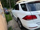Mercedes-Benz GLE 350 d 4MATIC - - Mercedes GLE 350 Diesel Gebrauchtwagen