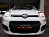 Fiat Panda Easy Servo Benzin/CNG Klima ABS/ESP E-Pake - Fiat Panda mit CNG-Antrieb: Kleinwagen