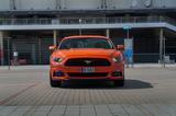 Ford Mustang 2.3 EcoBoost  Privatverkauf - : Privatverkauf