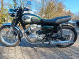 Kawasaki W800 - Angebote