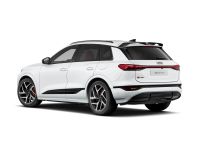Audi SQ6 e-tron - Vorschau Bild 6