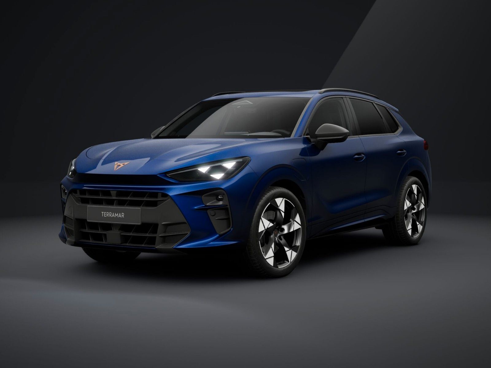 Cupra Terramar 1.5 e-HYBRID 150kW DSG