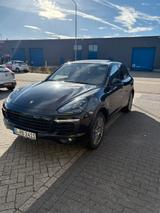 Porsche Cayenne S Diesel Platinum Edition Platinum E... - Porsche Cayenne in Krefeld