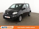 Fiat Panda 1.2 Easy*KLIMA*GARANTIE* - Fiat Panda EASY mit Benzin-Antrieb