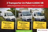 Peugeot Boxer / Fiat Ducato Kühlfahrzeug P... - Kühlfahrzeug gebraucht