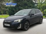 Subaru XV Platinum e-Boxer, PDC vorne, AHK, RFK, LRH - Subaru XV aus 2023