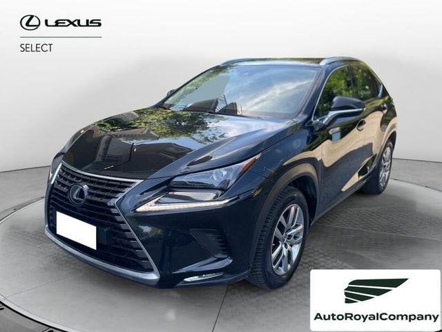 Lexus NX NX Hybrid Business