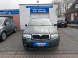Skoda Fabia Classic, TÜV NEU, 1 JAHR GEWÄHRLEISTUNG