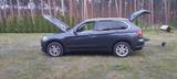 BMW X5 xDrive40d - Eleganter starker Hirsch - BMW: E40