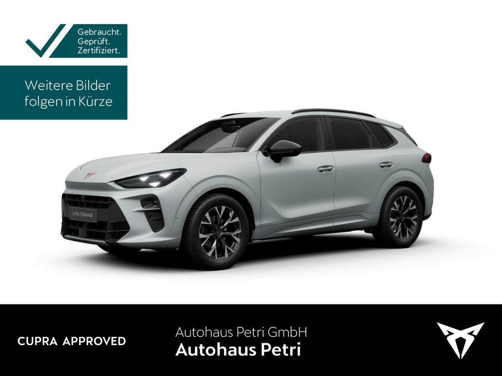 Image of Cupra Terramar