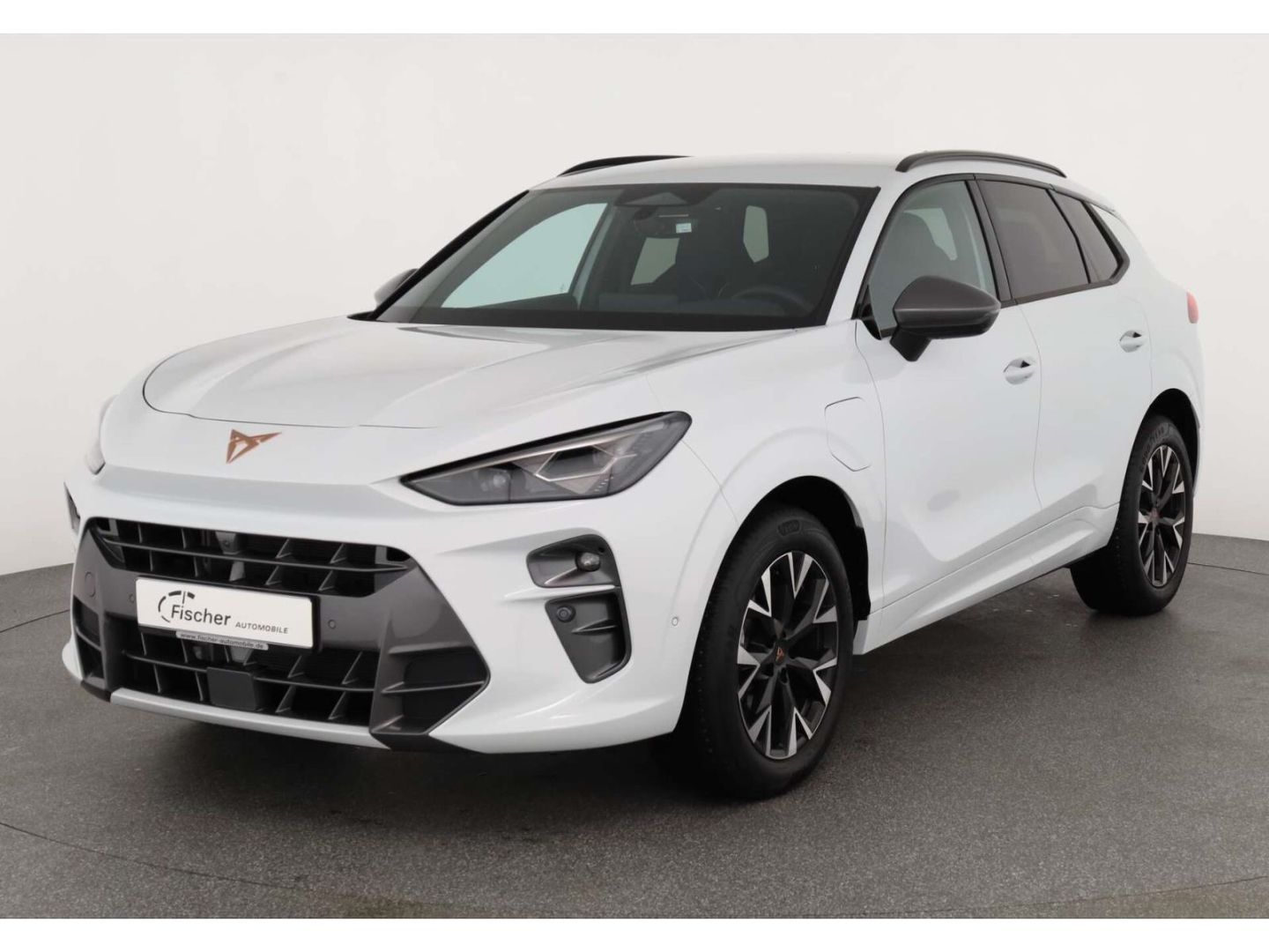 Cupra Terramar - Bild 2