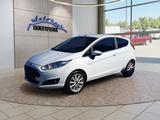 Ford Fiesta 1.0 EcoBoost Titanium Allwetter/Keyless/P - Ford Fiesta Gebrauchtwagen in Braunschweig