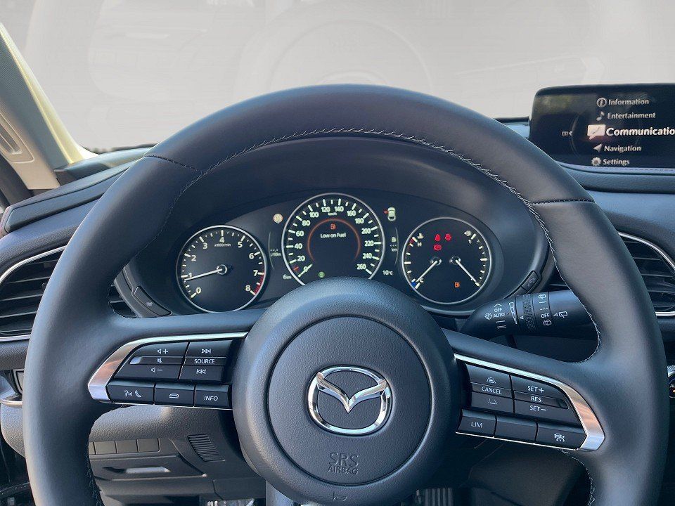 Fahrzeugabbildung Mazda CX-30 X 2.0i 186PS Homura