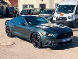 Ford Mustang GT 5.0 V8 Schalter Navi Xenon - Ford Mustang Gebrauchtwagen
