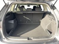 Skoda Kodiaq - Vorschau Bild 6