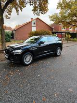 Jaguar F-Pace 20d AWD Pure Automatik Pure - Jaguar F-Pace von privat