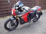 Andere Mondial Sport Classic 300 Pagani - SPORTLER VON 126 BIS 250 CCM