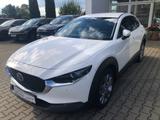 Mazda CX-30 2.5l Centre-Line Design-Paket Automatik - Mazda CX-30 mit Hybrid-Antrieb: Centre Line