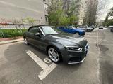 Audi A5 40 TFSI S tronic Cabriolet sport sport - Audi A5 mit Hybrid-Antrieb: Sport