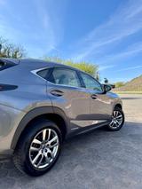 Lexus NX 300 300h - Hybrid Business line - Lexus NX-Serie Gebrauchtwagen