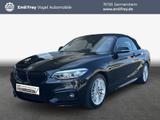 BMW 220i Cabrio Aut. M Sport LED* HiFi* PDC*