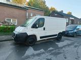 Fiat Ducato, TÜV 11/26, LED, Ruckfahrkamera - Fiat Ducato in Hamm