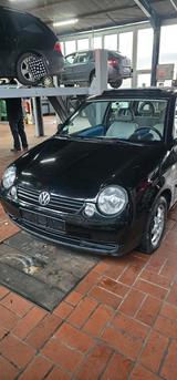 Volkswagen VW Lupo 1,0 - Volkswagen Lupo in Kassel