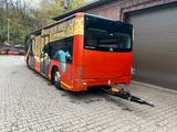 Other Göppel Maxi Trailer