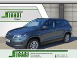 Skoda Karoq Ambit. 1.0TSI 85kW 6-Gang Sperrdiff. Apple - Skoda Karoq in Magdeburg
