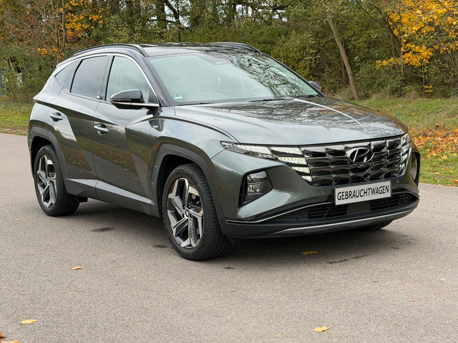 Fahrzeugabbildung Hyundai TUCSON 1.6 T-GDI 48V Prime *DCT*SHZ*RFKamera*LED