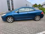 Peugeot 307 CC 2.0 mit neuem TÜV - Peugeot 307 mit Benzin-Antrieb: Cabrio, 2.0
