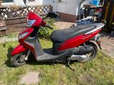 Honda Vision 50 - HONDA VISION