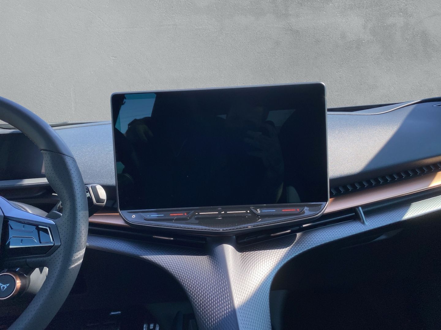 Fahrzeugabbildung CUPRA Tavascan 210 kW Endurance HUD AD El. Panodach Na