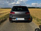 Volkswagen Golf 1.6 TDI Trendline Trendline - Volkswagen Golf: Trendline TDI