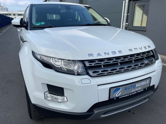 Land Rover Range Rover Evoque 2.2*NAV*CAM*LEDER*TEM*PDC*SHZ